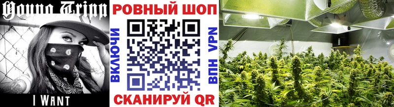 Продажа наркотиков Тбилисская Каннабис  Галлюциногенные грибы  ГАШ  Alpha PVP 