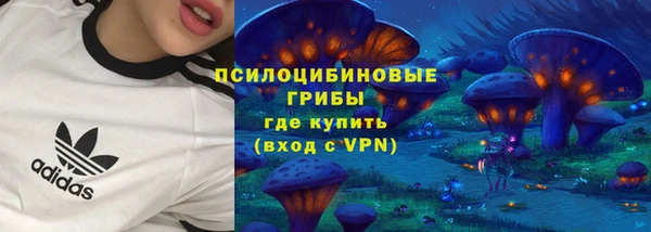 ГАЛЛЮЦИНОГЕННЫЕ ГРИБЫ Беломорск