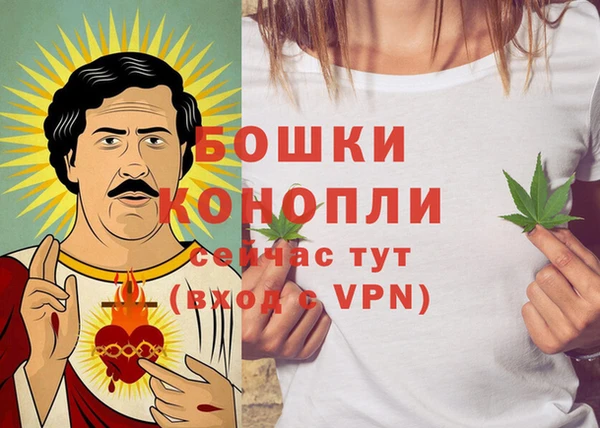 ГАЛЛЮЦИНОГЕННЫЕ ГРИБЫ Беломорск