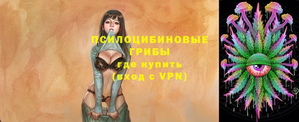 кокс Богородицк