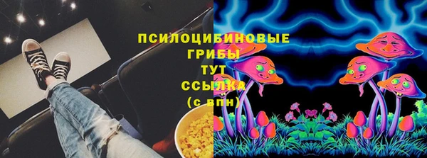 спайс Богданович