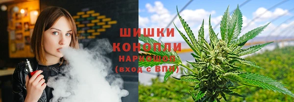спайс Богданович
