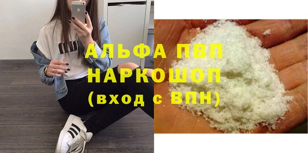 спайс Богданович